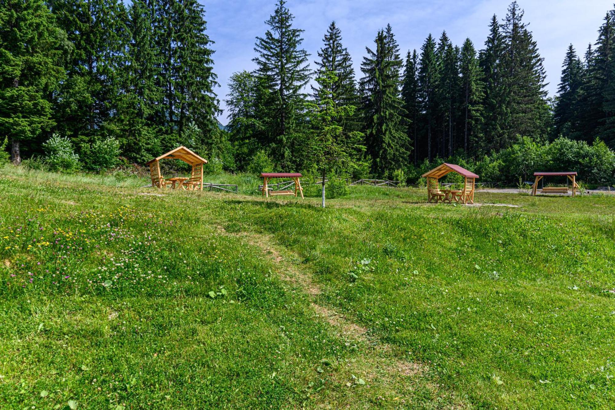 Apartment "Mountain Relax" Пояна-Брашов Екстер'єр фото