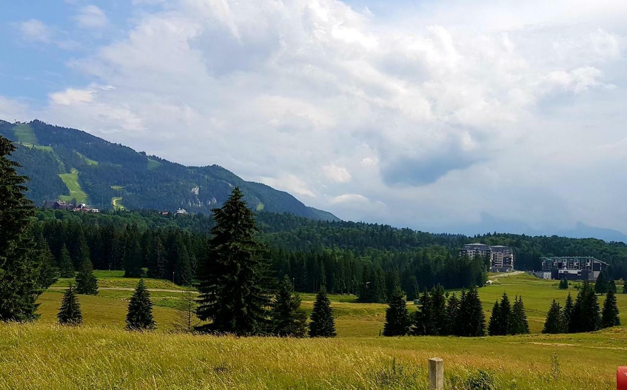 Apartment "Mountain Relax" Пояна-Брашов Екстер'єр фото